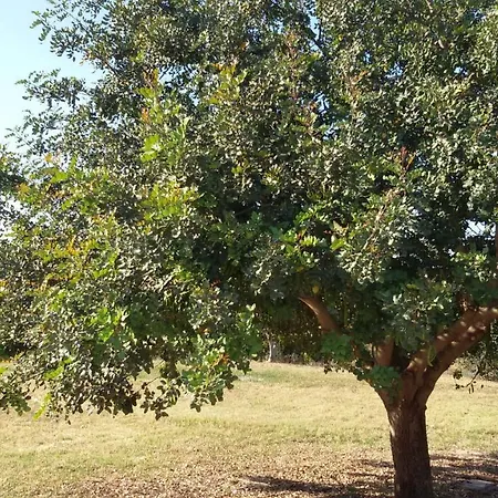 Dimore Del Carrubo - Con Piscina Villa